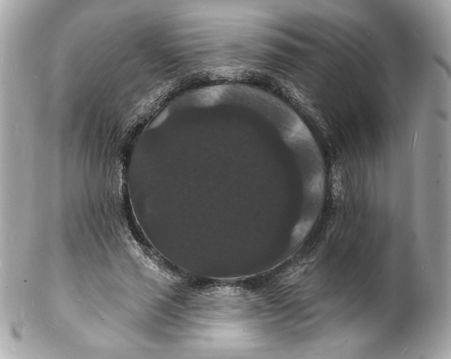 X0000102230637200808151731