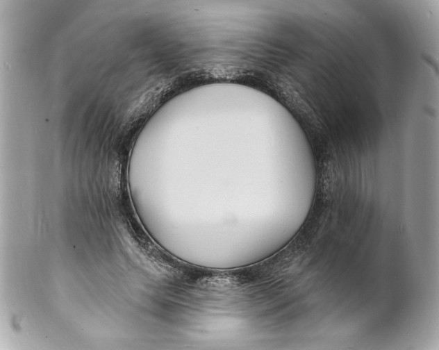 X0000102230639200808151731