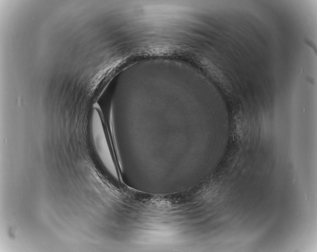 X0000102230640200808151731