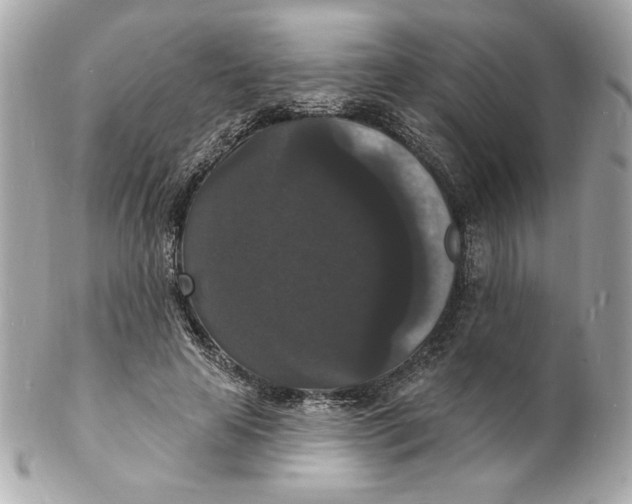 X0000102230641200808151731