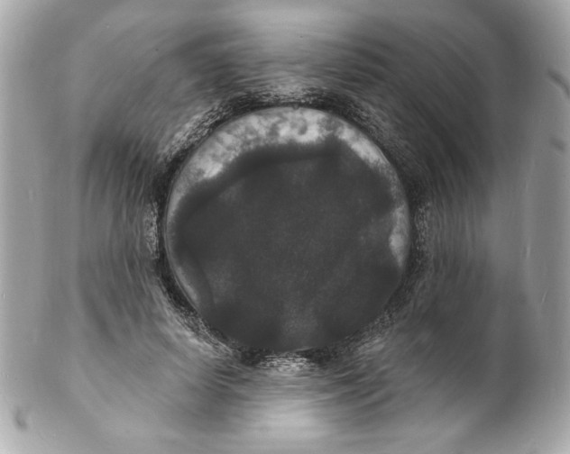 X0000102230642200808151731