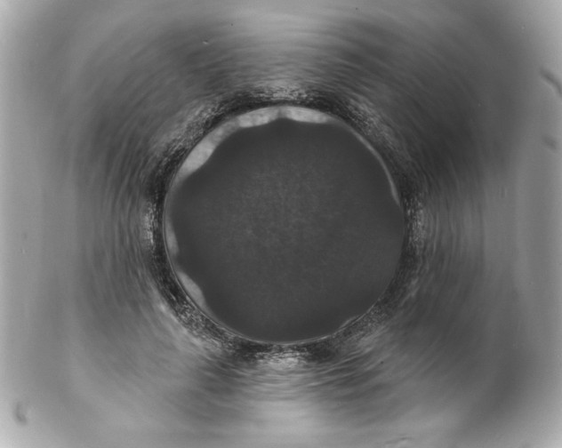 X0000102230643200808151731