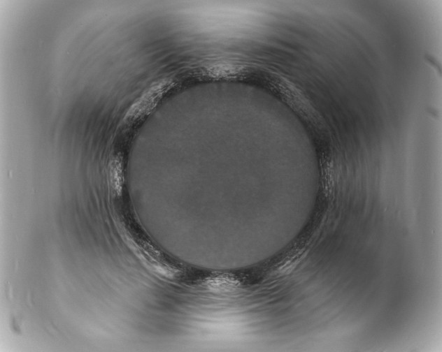 X0000102230644200808151731
