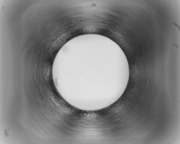 X0000102230645200808151731