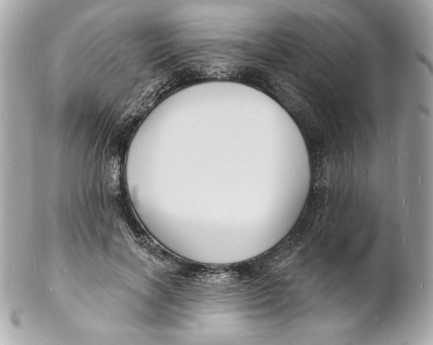 X0000102230646200808151731