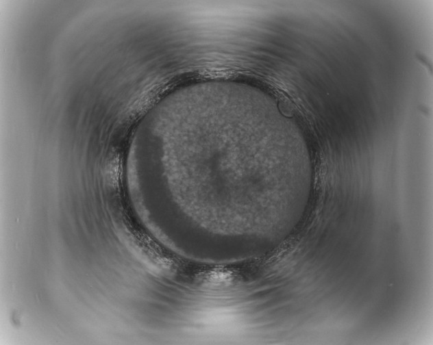 X0000102230647200808151731