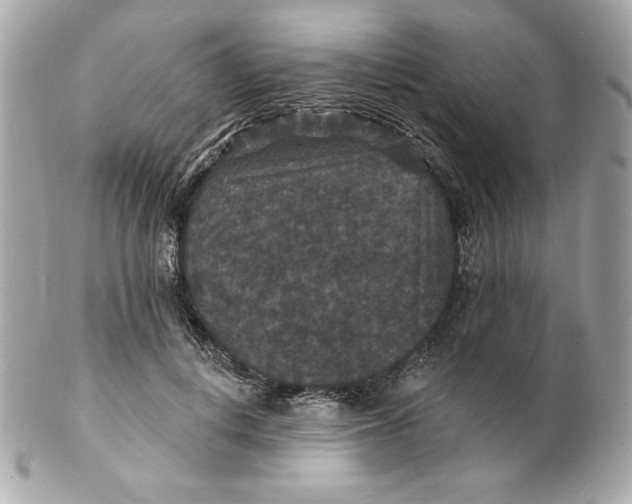 X0000102230648200808151731