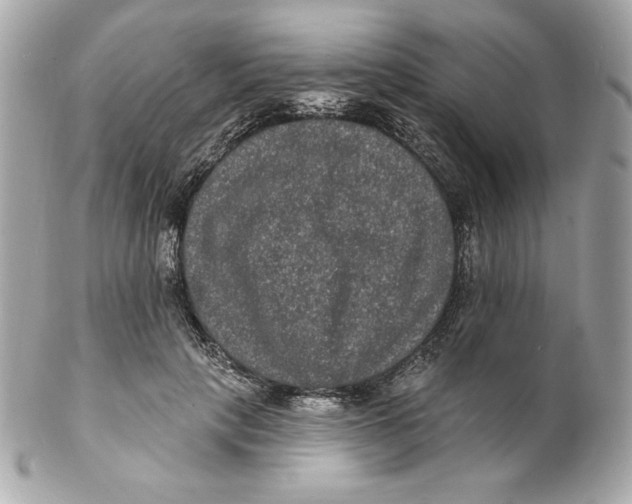 X0000102230649200808151731