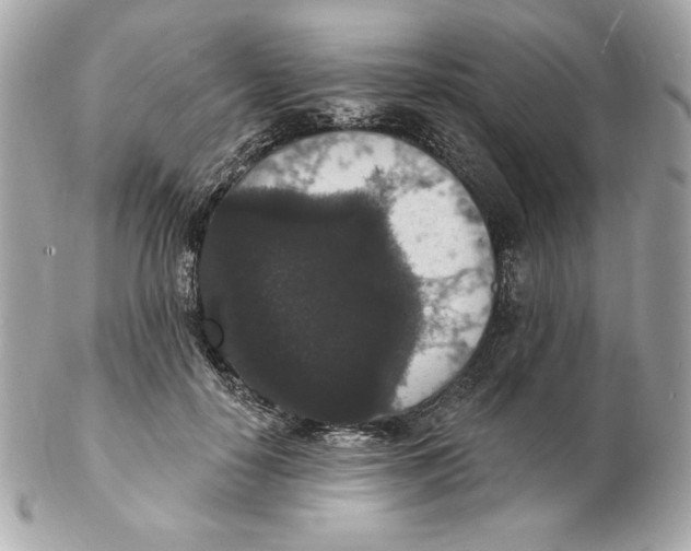 X0000102230650200808151731