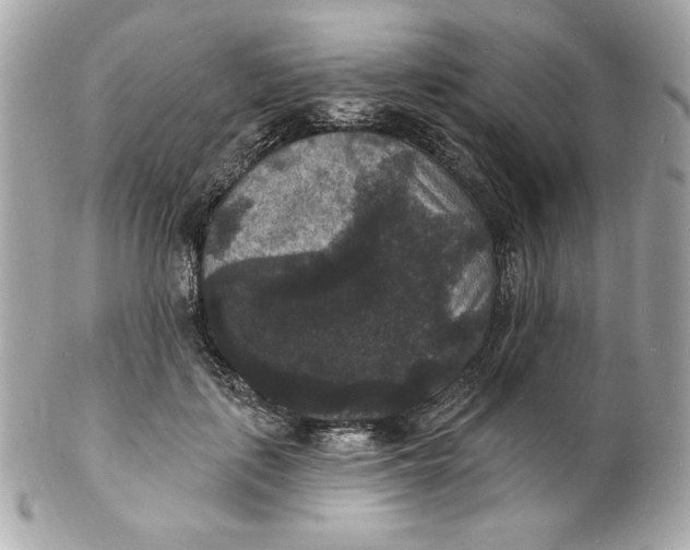 X0000102230651200808151731