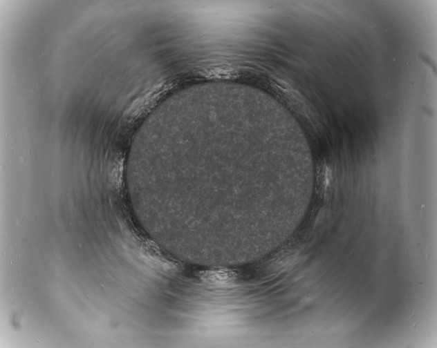 X0000102230652200808151731