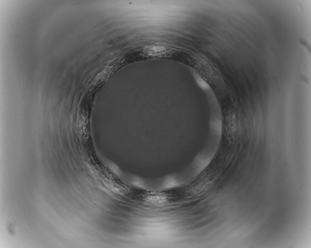 X0000102230653200808151731