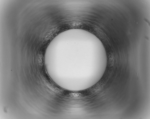 X0000102230654200808151731