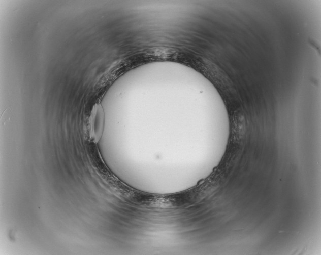 X0000102230656200808151731
