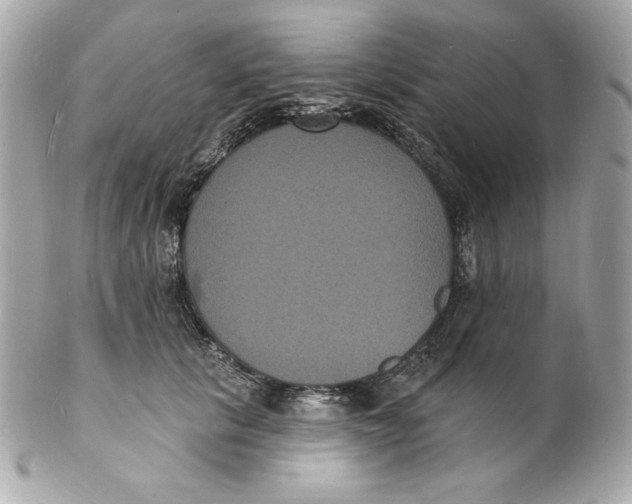 X0000102230657200808151731