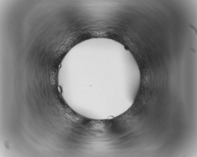 X0000102230658200808151731