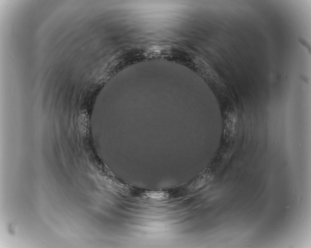 X0000102230659200808151731