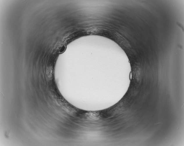X0000102230660200808151731