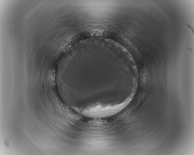 X0000102230661200808151731