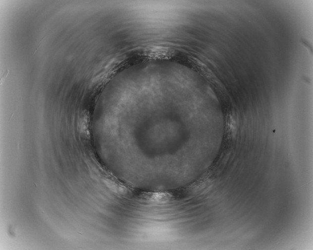 X0000102230663200808151731