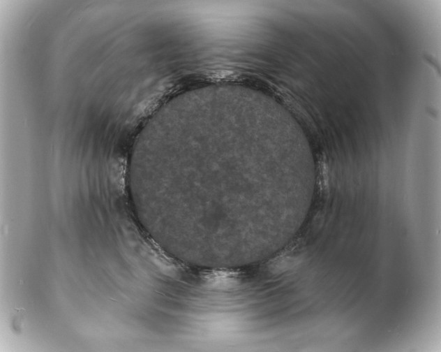 X0000102230664200808151731