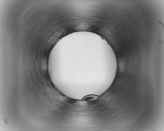 X0000102230665200808151731