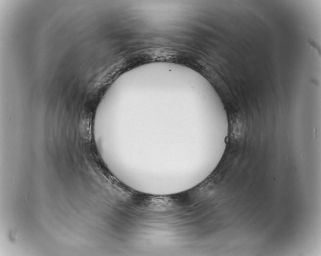 X0000102230666200808151731