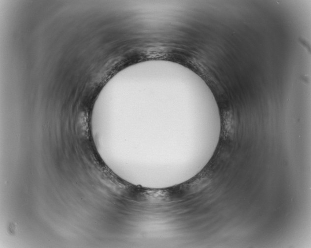 X0000102230667200808151731