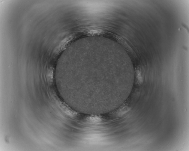 X0000102230668200808151731