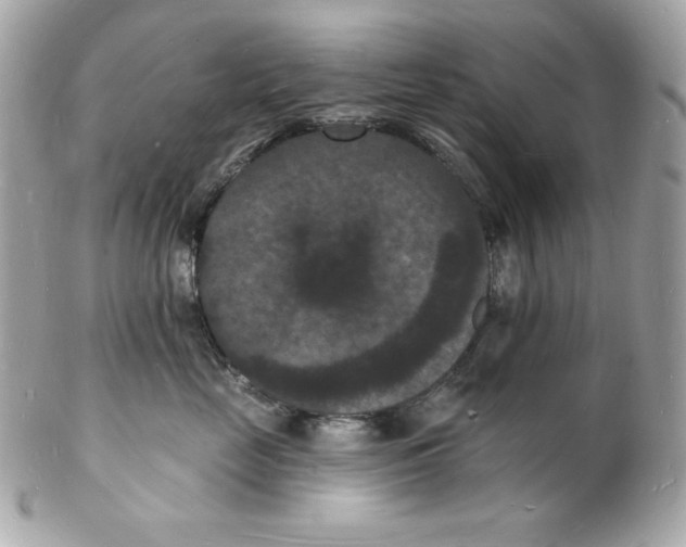 X0000102230669200808151731