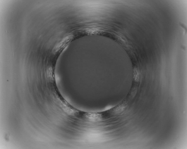 X0000102230670200808151731