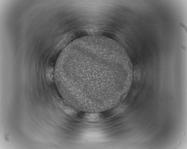 X0000102230671200808151731