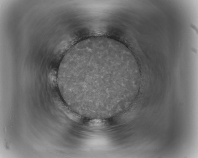 X0000102230672200808151731
