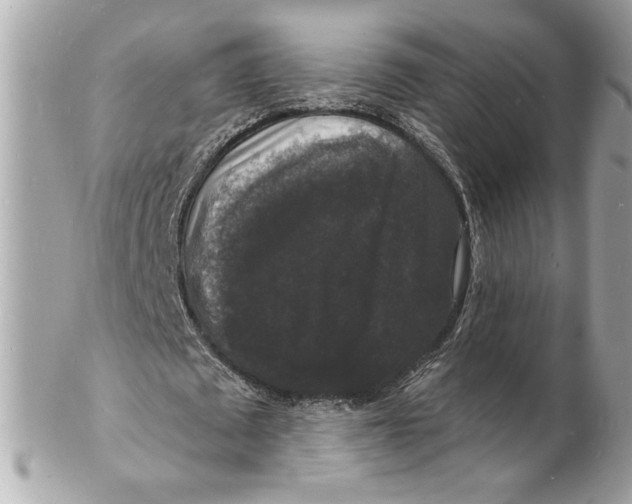 X0000102230673200808151730