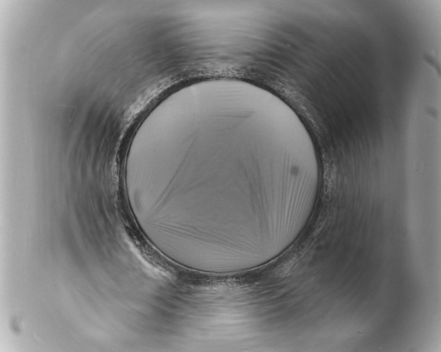 X0000102230674200808151730