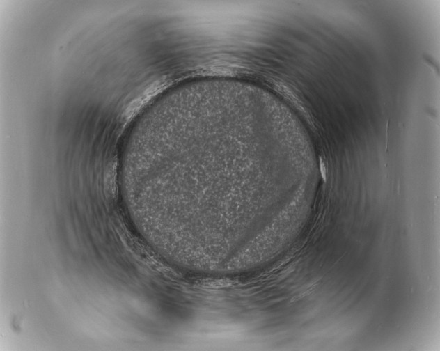 X0000102230675200808151730