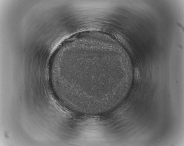 X0000102230676200808151730