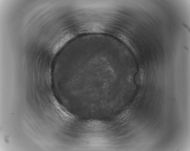 X0000102230677200808151730