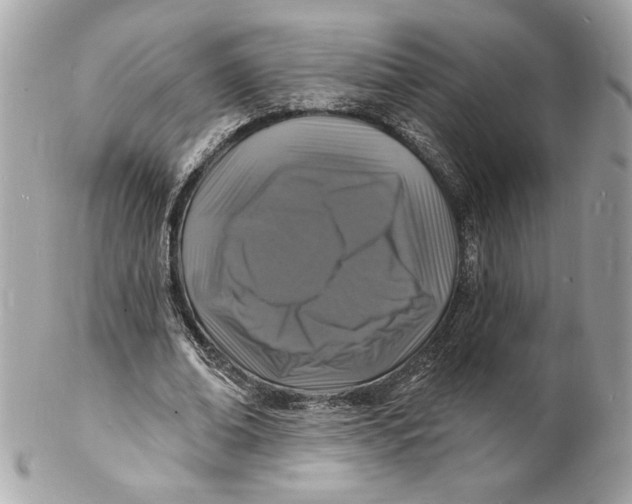 X0000102230678200808151730