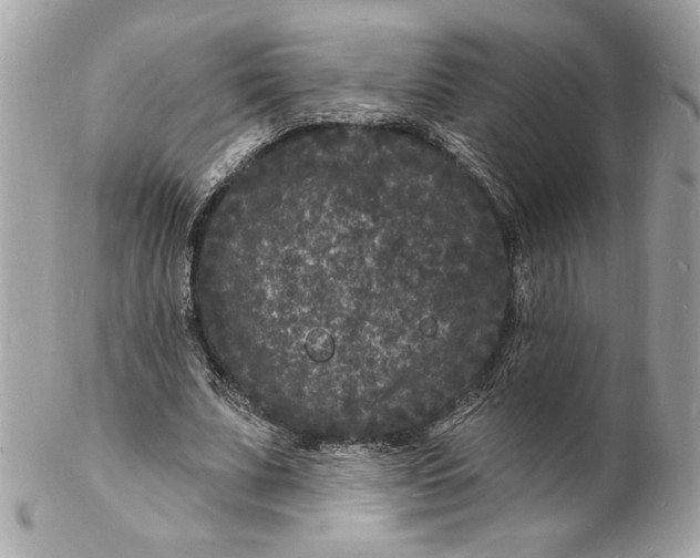 X0000102230679200808151730