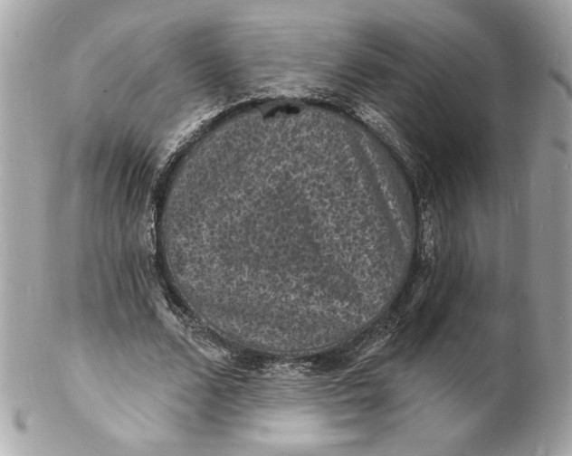X0000102230680200808151730