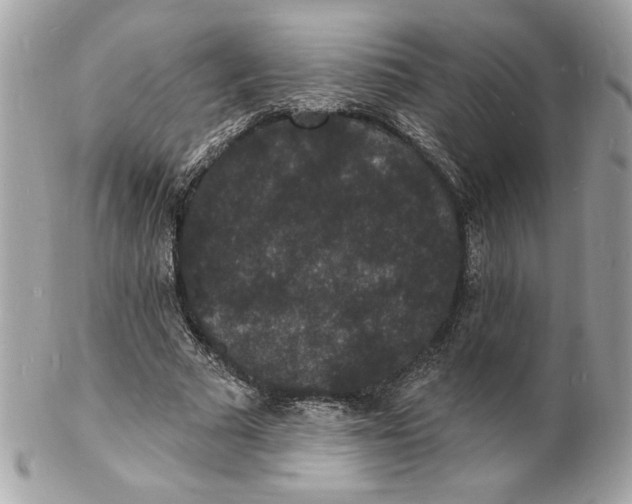 X0000102230681200808151730