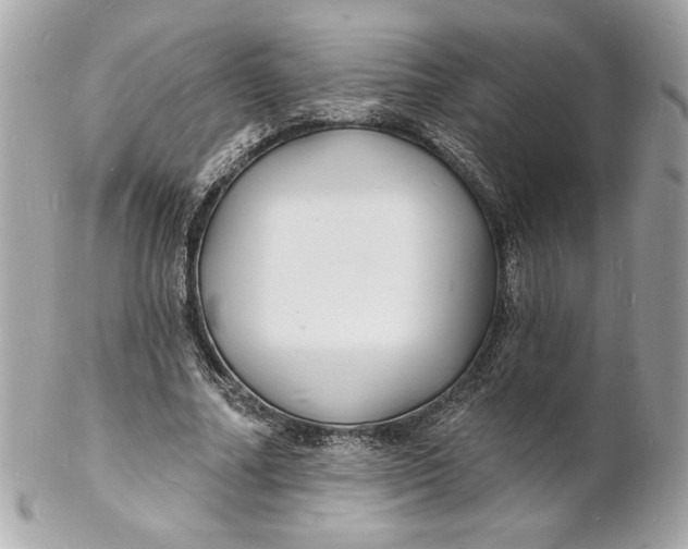 X0000102230682200808151730