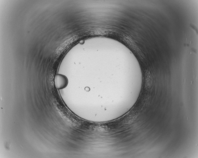 X0000102230683200808151730