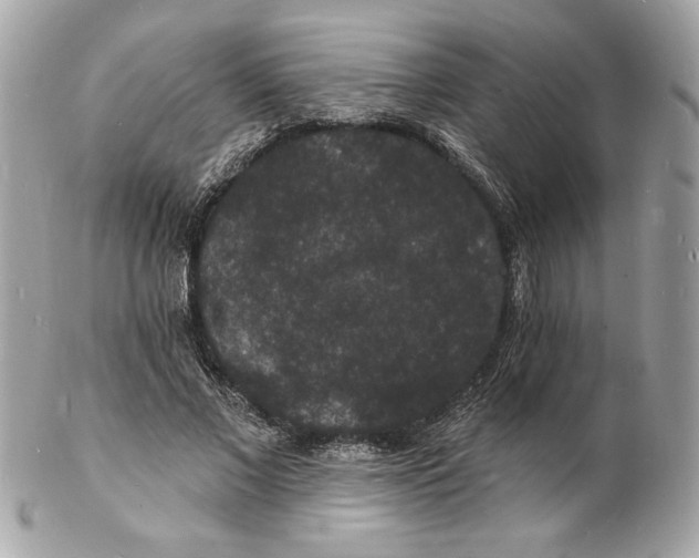 X0000102230685200808151730