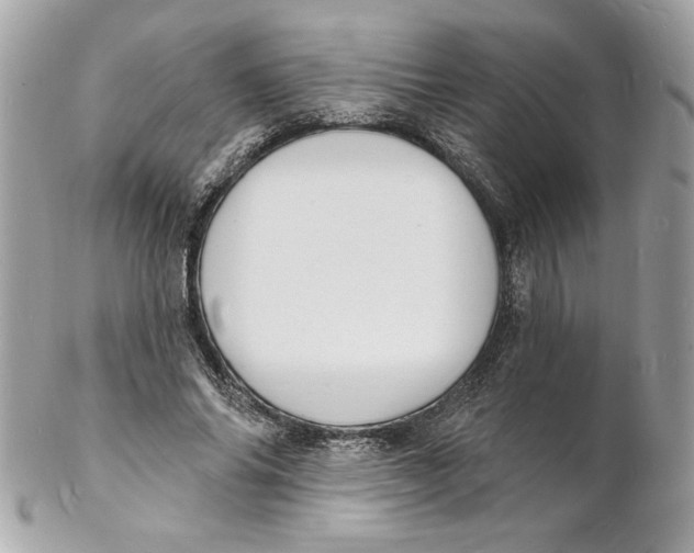 X0000102230686200808151730