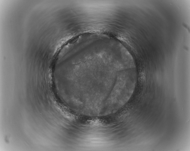 X0000102230688200808151730