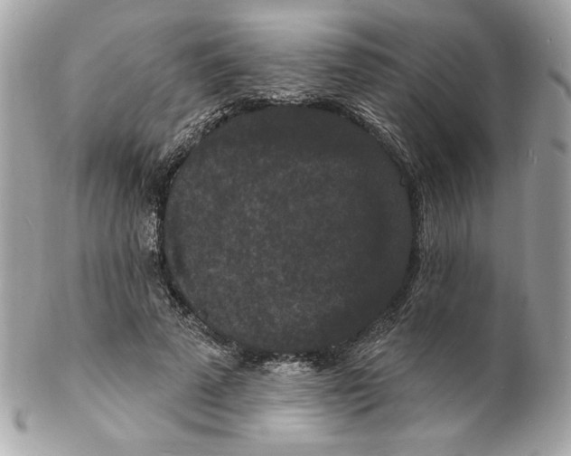 X0000102230689200808151730