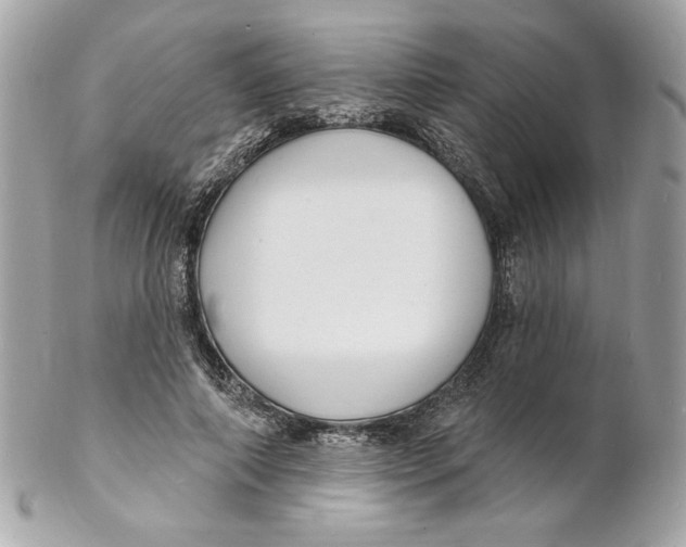 X0000102230690200808151730
