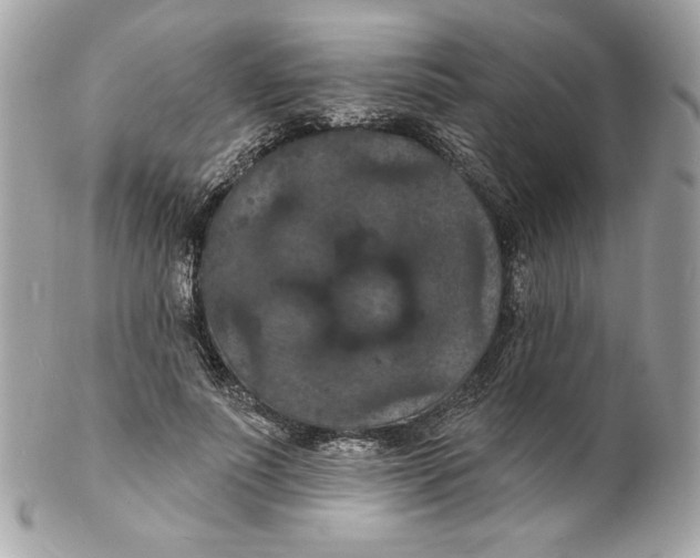 X0000102230691200808151730